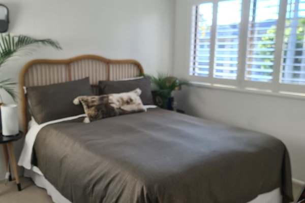 House sit in Noosa Heads, QLD, Australia