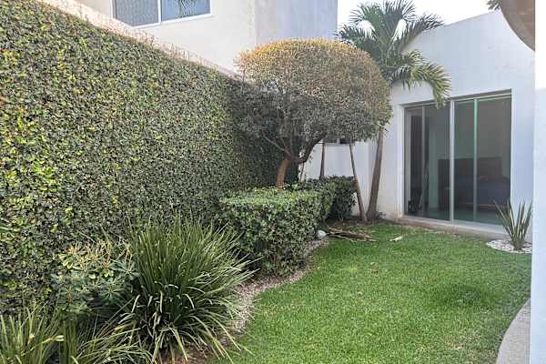 House sit in Cuernavaca, Mexico