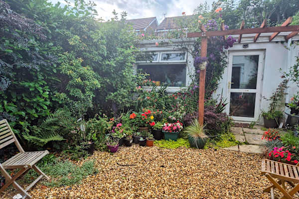 House sit in Balbriggan, Ireland