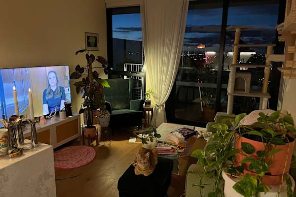 House sit in Melbourne, VIC, Australia