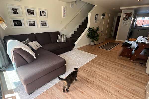 House sit in Queenstown, New Zealand