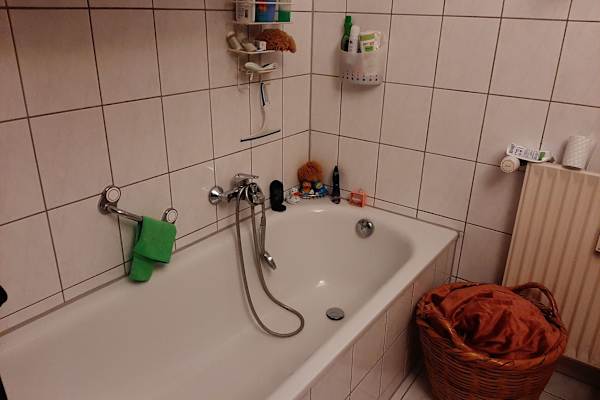 House sit in Heidelberg, Germany
