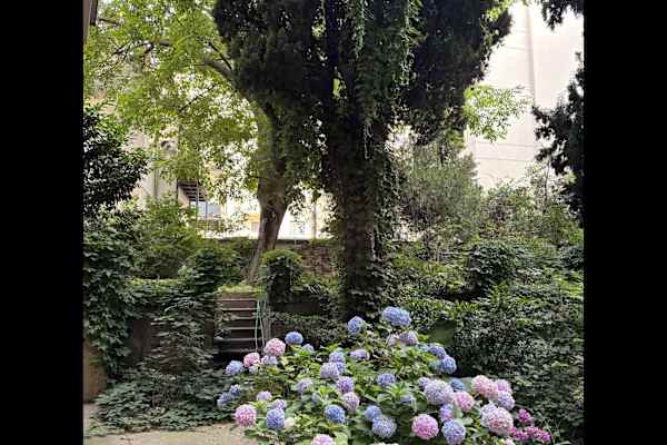 House sit in Belgrade, Serbia