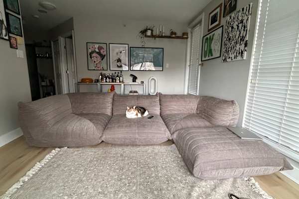 House sit in New Westminster, BC, Canada