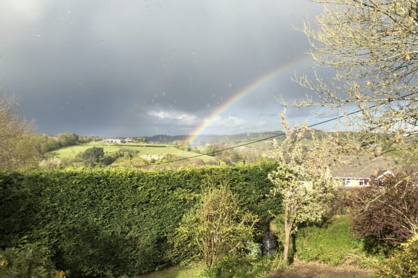 House sit in Bath, United Kingdom