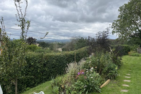 House sit in Cleobury Mortimer, United Kingdom