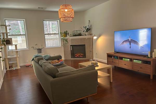 House sit in Acworth, GA, US