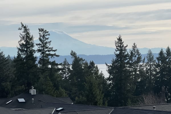 House sit in Gig Harbor, WA, US