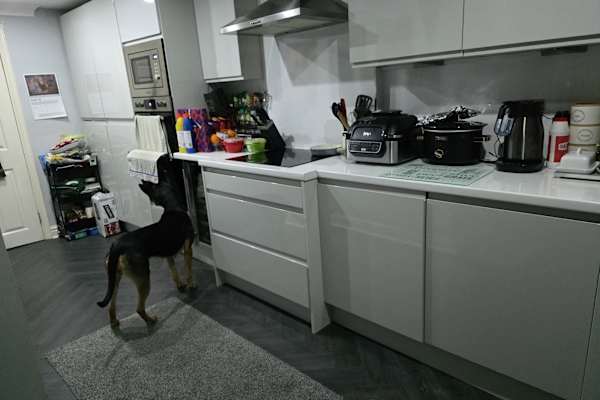 House sit in Liverpool, United Kingdom