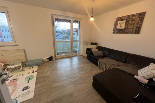 House sit in Dresden, Germany