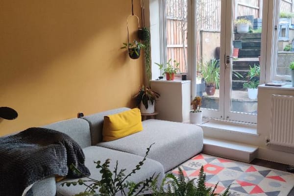 House sit in London, United Kingdom