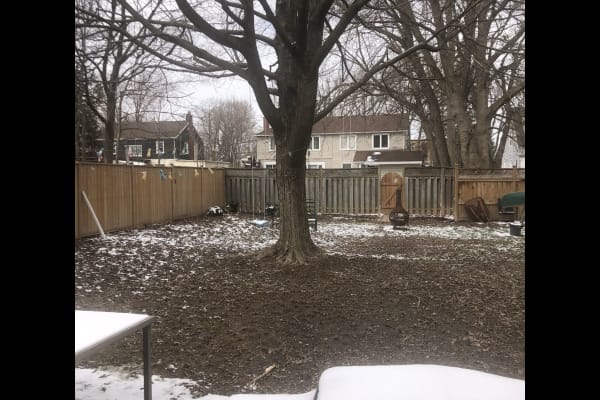 House sit in Niagara Falls, ON, Canada