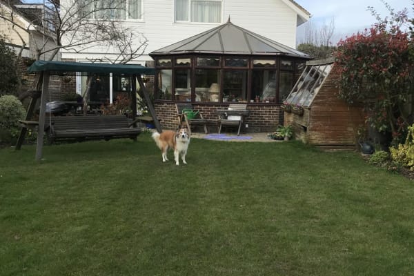 House sit in Felpham, United Kingdom