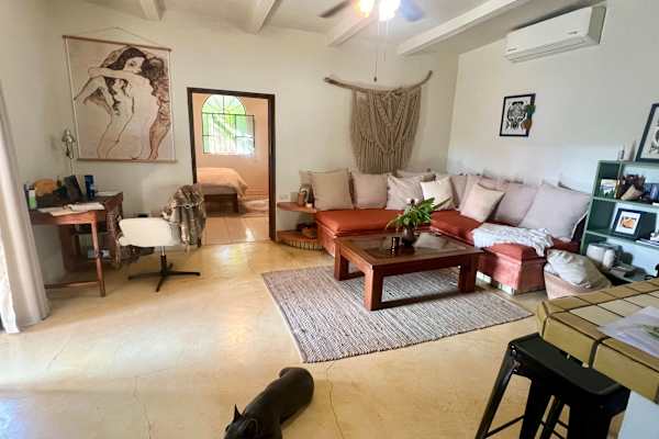 House sit in San Francisco (San Pancho), Mexico