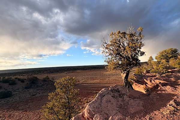 House sit in Window Rock, AZ, US