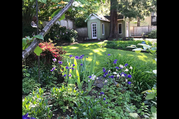 House sit in Eugene, OR, US