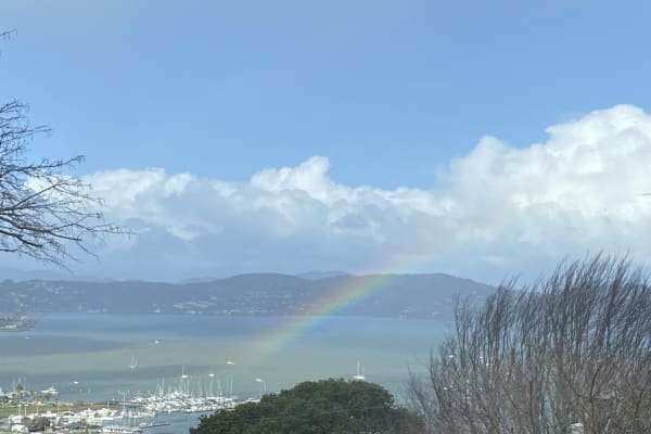 House sit in Sausalito, CA, US