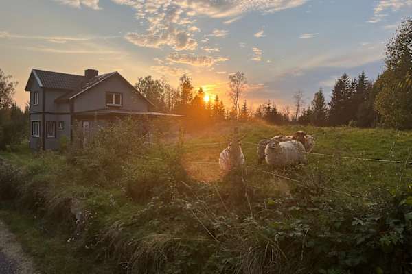 House sit in Göteborg, Sweden