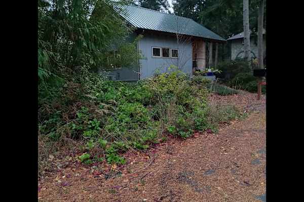 House sit in Port Townsend, WA, US