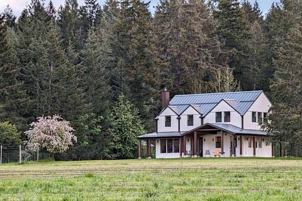 House sit in Courtenay, BC, Canada