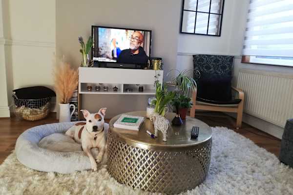 House sit in Crewe, United Kingdom