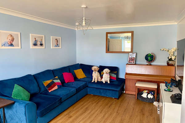 House sit in Wormit, United Kingdom