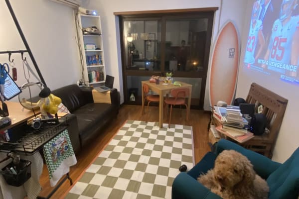 House sit in Porto, Portugal