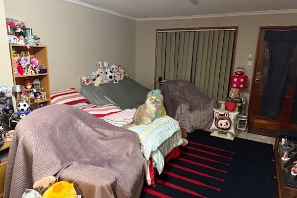 House sit in Gold Coast, QLD, Australia