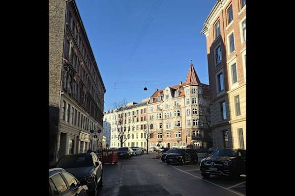 House sit in Copenhagen, Denmark