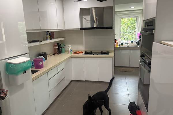 House sit in Kuala Lumpur, Malaysia