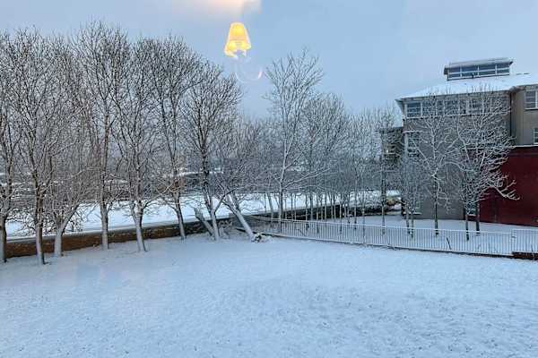 House sit in Aberdeen, United Kingdom