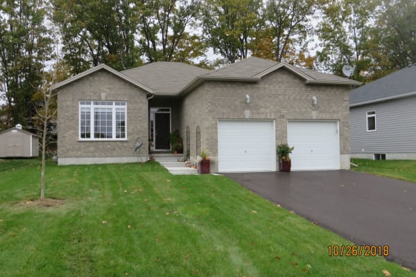 House sit in Barrie, ON, Canada