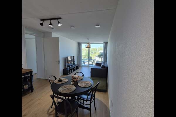 House sit in Amsterdam, Netherlands