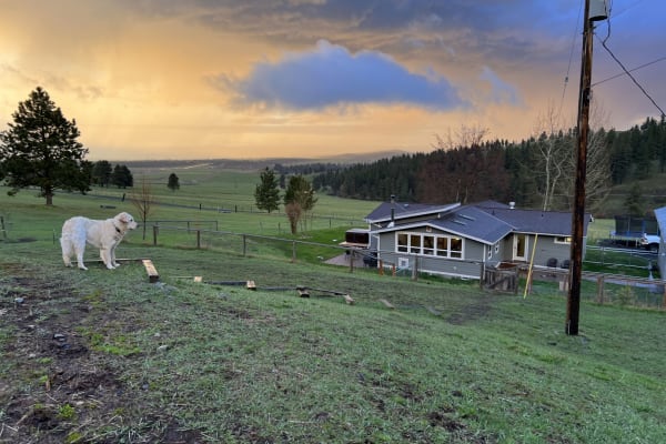 House sit in Joseph, OR, US