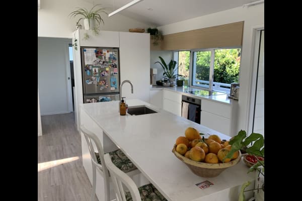 House sit in Tauranga, New Zealand