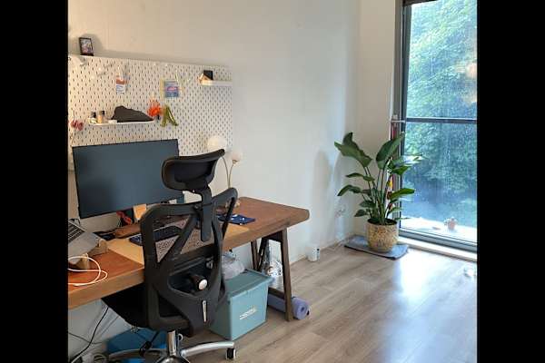 House sit in Amsterdam, Netherlands