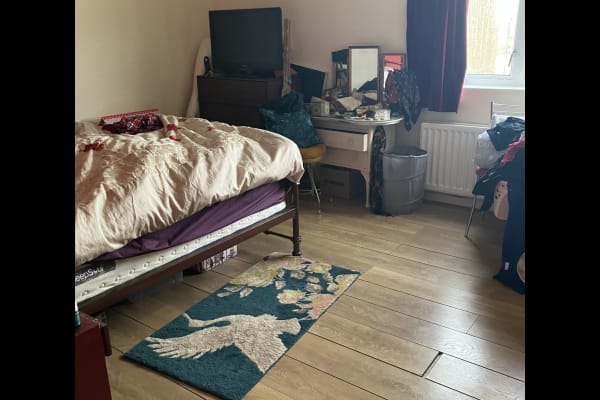 House sit in Shoreham-by-Sea, United Kingdom