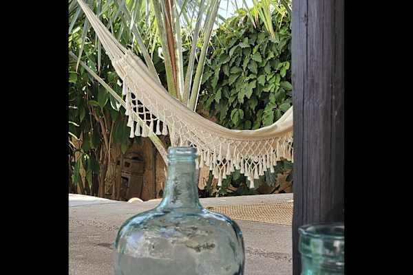 House sit in Palma, Spain