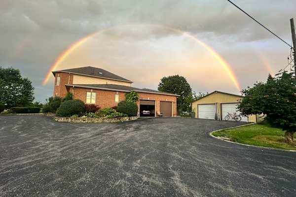 House sit in Hamilton, ON, Canada