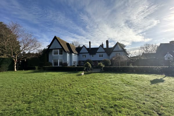House sit in Ipswich, United Kingdom