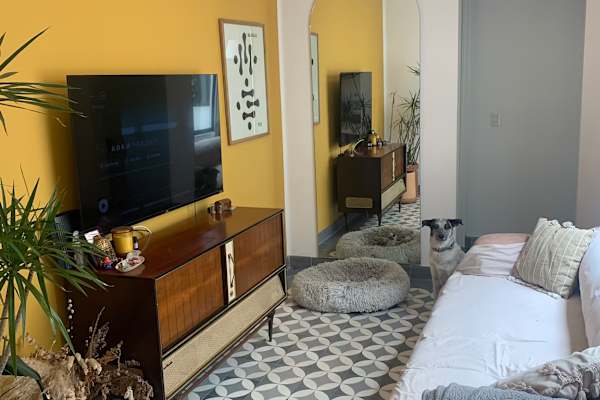 House sit in Cuauhtémoc, Mexico