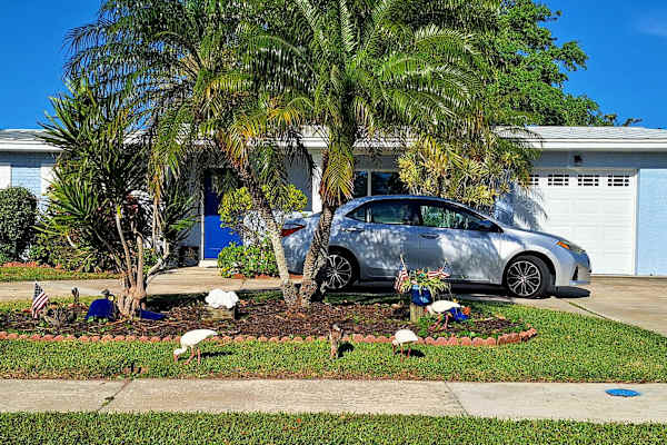 House sit in Merritt Island, FL, US