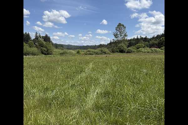 House sit in Redmond, WA, US