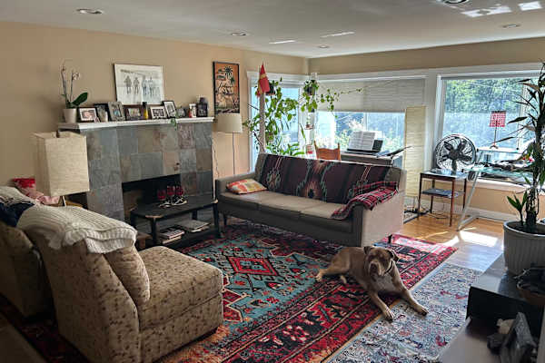 House sit in West Seattle, WA, US