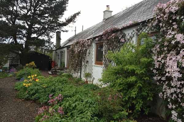 House sit in Lanark, United Kingdom