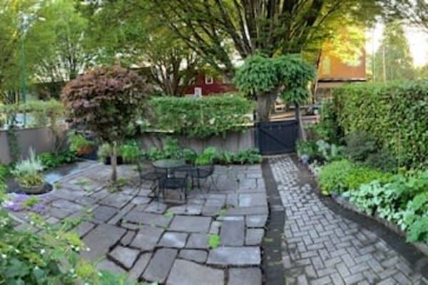 House sit in Vancouver, BC, Canada