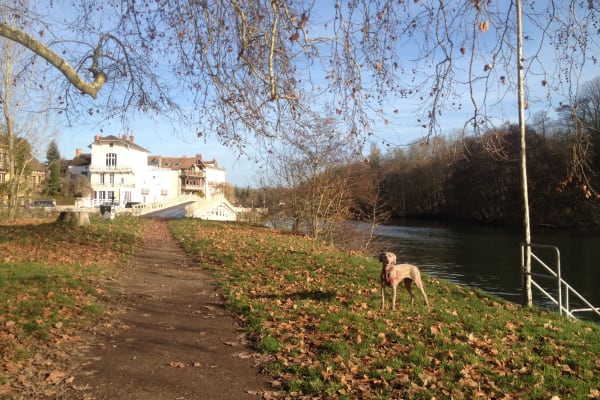 House sit in Samois-sur-Seine, France