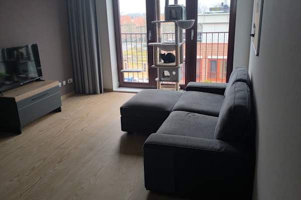 House sit in Amsterdam, Netherlands