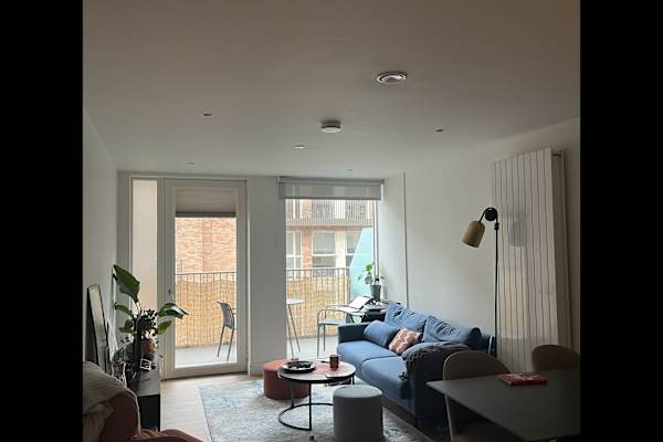 House sit in Dublin, Ireland