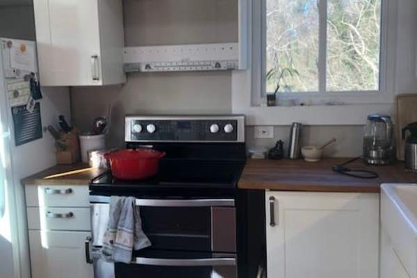 House sit in Asheville, NC, US